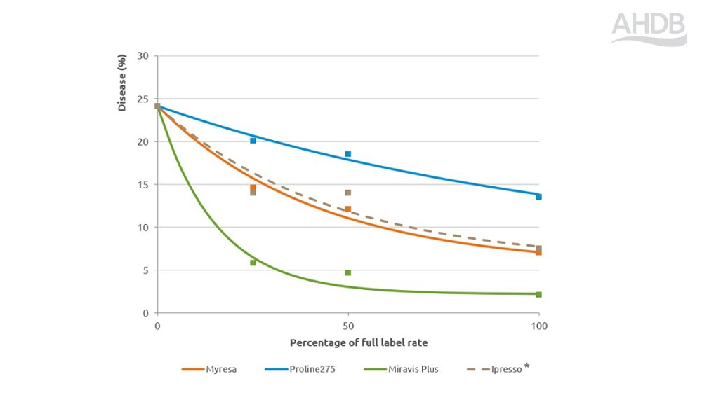 Ramularia disease fungicide performance response chart 2024 